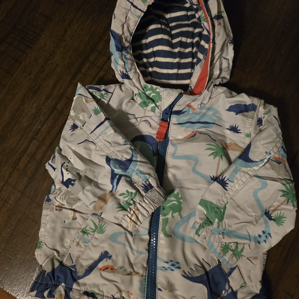 Baby Boden Striped Dinosaur Jacket